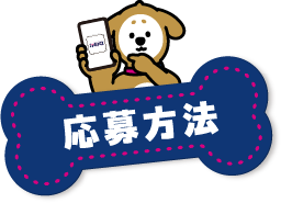 応募方法